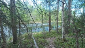 Сплав по реке Кереть 22.05.26 - 23.05.26
