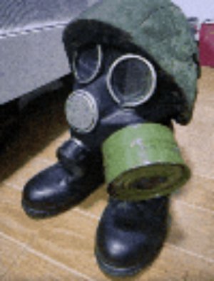 стрим 676767 рутуб даня
