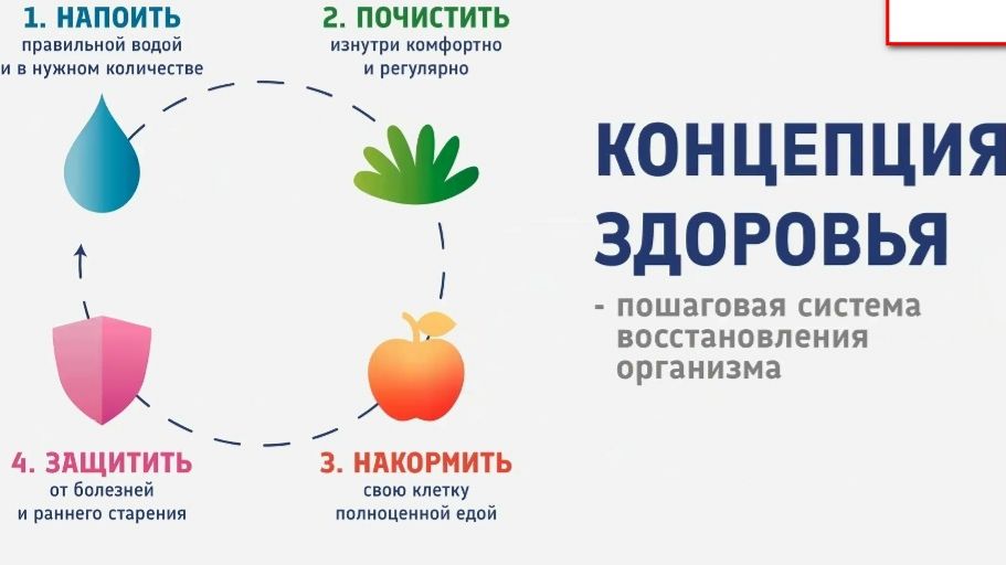 Концепция здоровья от 27.05.26