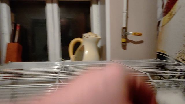 1000036640.mp4 смотреть онлайн