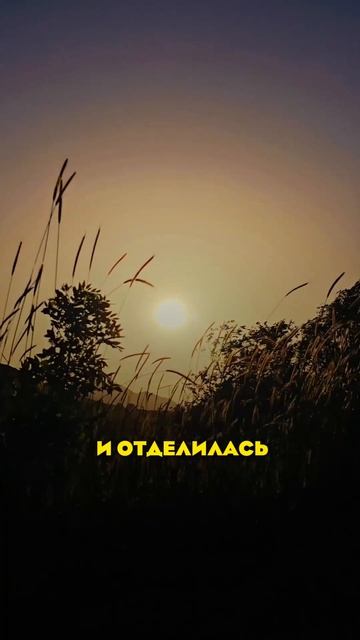 КАК ПРОИСХОДИТ РАЗДЕЛЕНИЕ НА Я и МИР?