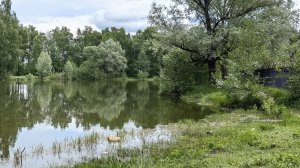 Обстановка на озере Стрелка. 27-05-2026