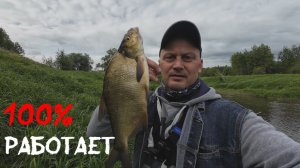 Подобрал приманку и начался клёв