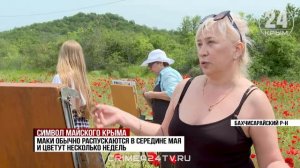 Крымские художники вышли на пленэр в маковые поля