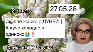 2 часть. С@пле жарко с ДУНЕЙ ,а куче холодно и  одиноко 🤪❗️Пенсионеры живут веселее💯❗️