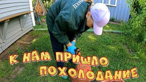 К НАМ ПРИШЛО ПОХОЛОДАНИЕ ОБРАБОТАЛИ ВИНОГРАД ОТ БОЛЕЗНЕЙ