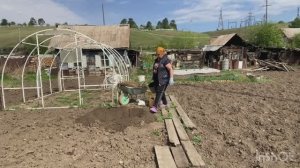 Жизнь в развалюхе Сажаю тыкву правильно