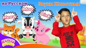 Звуки Животных 🐮 _ Весёлая Детская Песня для Изучения Звуков Животных! - Kuku и Cucudu🎵