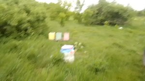 Отчёт