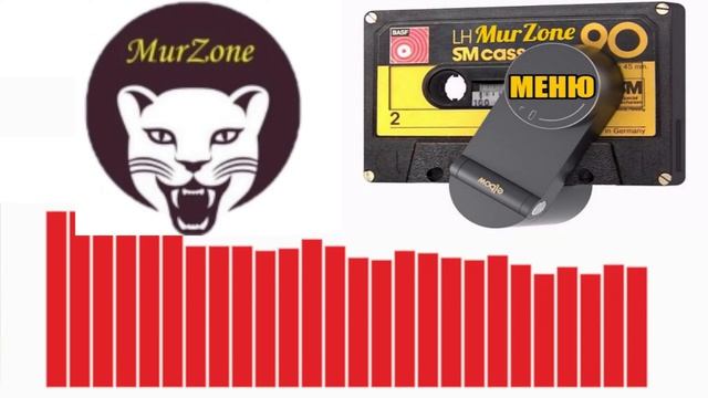 RADIO MurZone 2024🕺🏝️