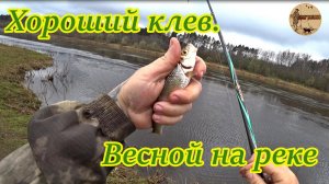 Рыбалка весной на реке с быстрым течением.#рыбалка ,#река ,#плотва ,#удочка ,#донка ,#оснастка ,