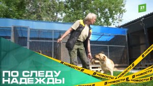По следу надежды. Из Челябинска на передовую отправляют отряд поисковых собак