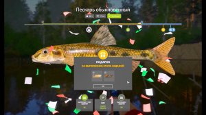Пескарь, выполнение юбилейного задания на реке Вьюнок в игре Русская Рыбалка 4