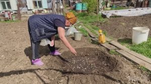 Жизнь в развалюхе Сажаю кабачки Не удалось продать это