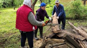 Пилю на своей 14-летней Бензопиле STIHL MS 180 (1 часть)