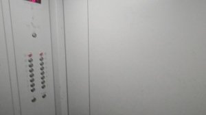1000008484.mp4