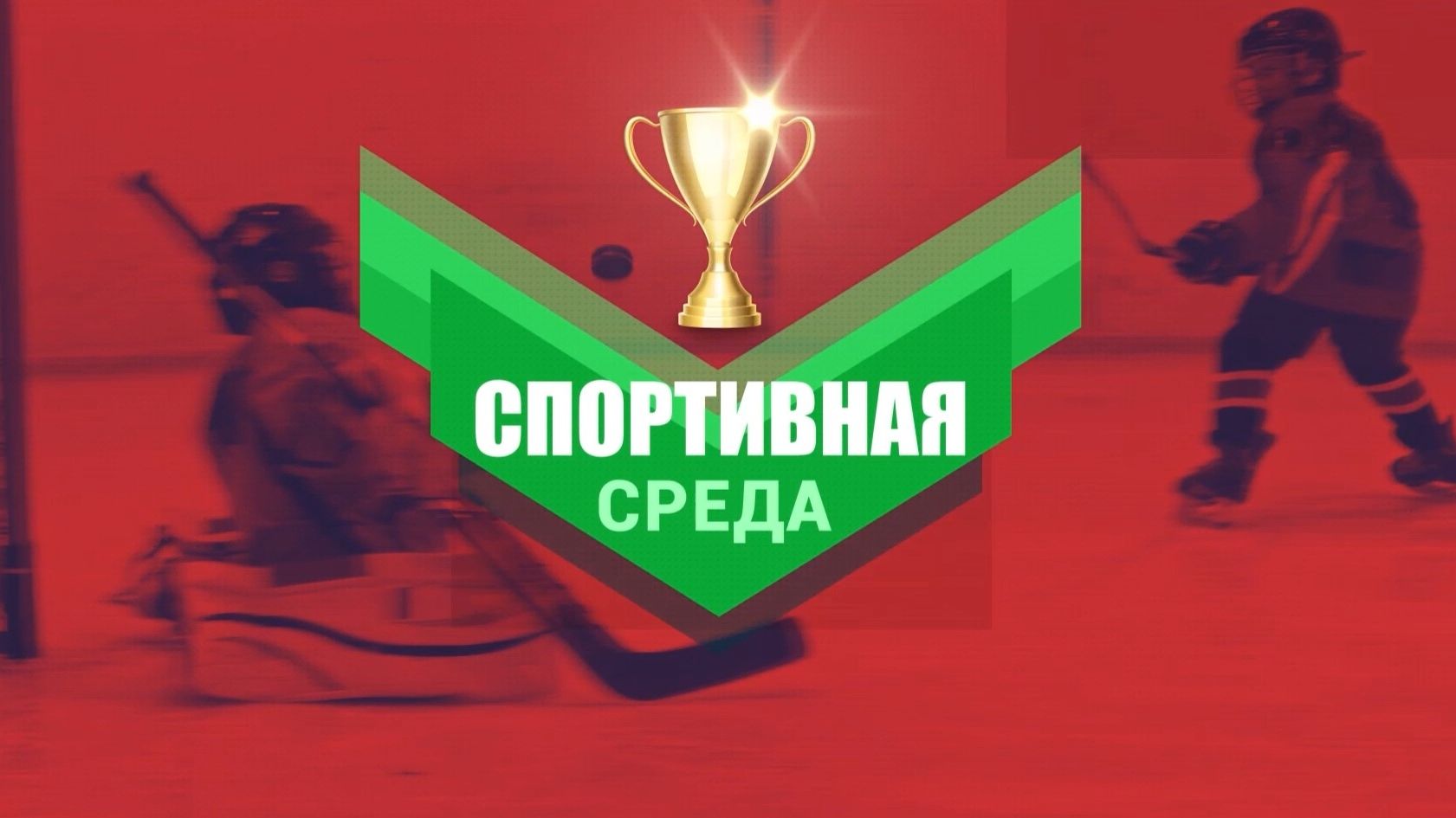 Спортивная среда мая: «Кубок Героев ЕАО» по хоккею и Первенство ЕАО по художественной гимнастике