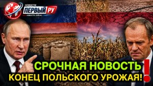 Вот и все приказ Путина лишил фермеров Польши удобрений Варшава в ярости