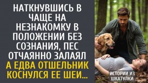 Истории из жизни Наткнувшись в чаще на незнакомку в положении без сознания, пес отчаянно залаял…