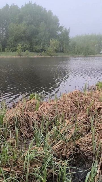 рыбалка #рассвет