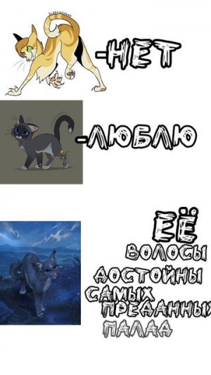 синяя звезда навсегда