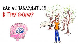 Как не заблудиться в трех соснах — Научпок