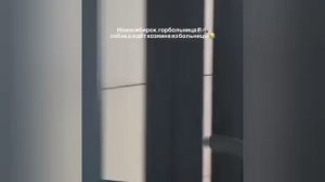 Новосибирский Хатико ждет хозяина у больницыУ стен медучреждения уже несколько дней замечают собаку