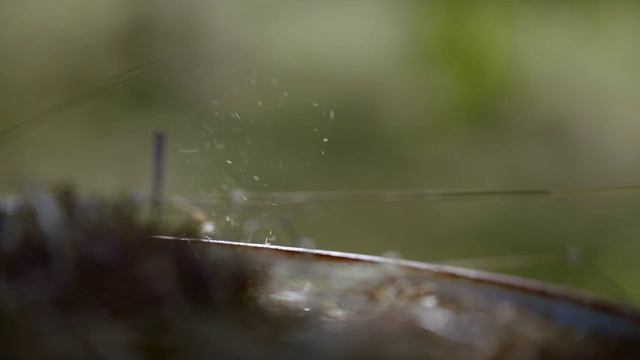 Неудержимая АГА. Бедный в нуже что жаба в луже