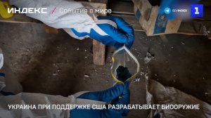 Украина при поддержке США разрабатывает биооружие