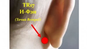 Массаж активных точек TR 17 И - Фэн Точка Ветра 11