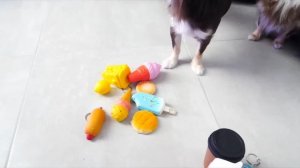 ну как вам видео 🥞