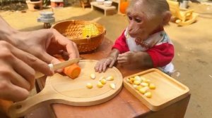 Чудесная жизнь маленькой обезьянки 5ч.🙈🐒🐵🦧