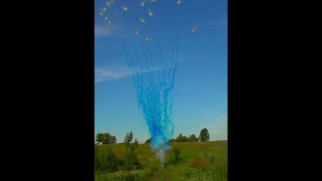БСП1502512 Дневной Гендерный салют (синий) смотреть онлайн