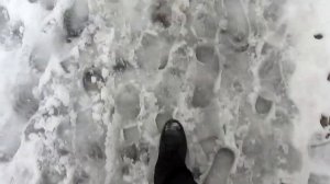 Злой Лекарь - город Семилуки продолжает поражать нас своими маршрутами. 19.02.2020