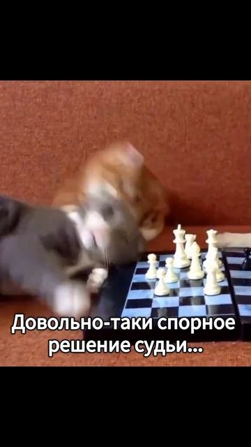 Довольно-таки спорное решение судьи смотреть онлайн