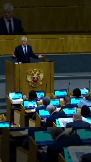 Депутат про тупость работы депутатов! Где деньги, Зин? - озадачил коллег-депутатов Валерий Гартунг.