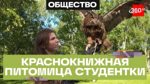 Вместо кошки — филин: студентка выгуливает краснокнижную птицу в городском парке Москвы