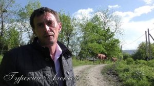 Обещаем обещать