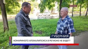 Комариного апокалипсиса в Ивановской области не будет?