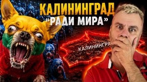 КАЛИНИНГРАД «РАДИ МИРА» | НАТО И ОБОРОНИТЕЛЬНОЕ НАПАДЕНИЕ