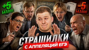 Апелляция ЕГЭ, как подать и поднять баллы? Мой опыт | Умскул