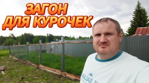 ЗАГОН ДЛЯ КУР СВОИМИ РУКАМИ БЮДЖЕТНО И НАДЁЖНО