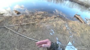 Рыбалка на Грыжу- Кривду Старая дедовская снасть.