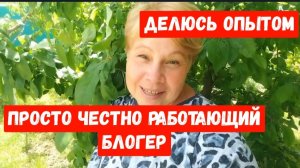 266🏡Честно зарабатывающий блогер своим трудом/Делюсь опытом