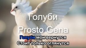 Prosto Gena - Голуби караоке (плюс)