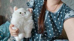 думаю о поле чудес