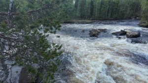 Сплав по реке Кереть 22.05.26 - 23.05.26
