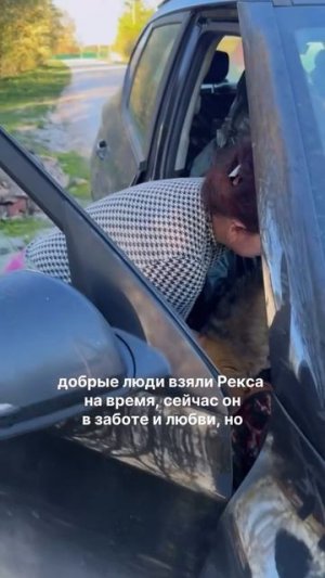 Рексику нужна помощь