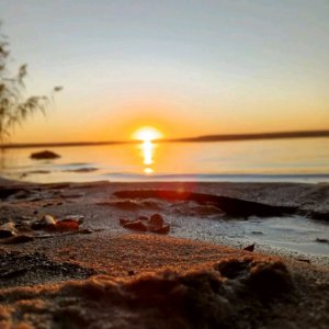 Вопрос -Ответ