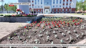 В Урае приступили к высадке цветов